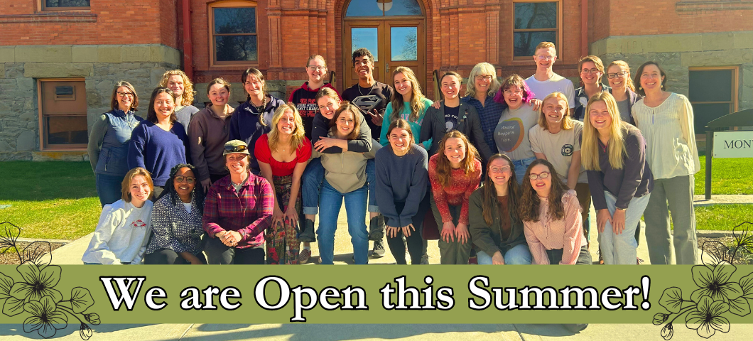Group photo of Writing Center Staff with text, "we are open this summer!"