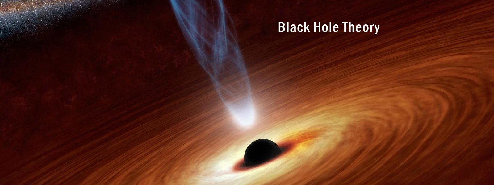 Black Hole Theory